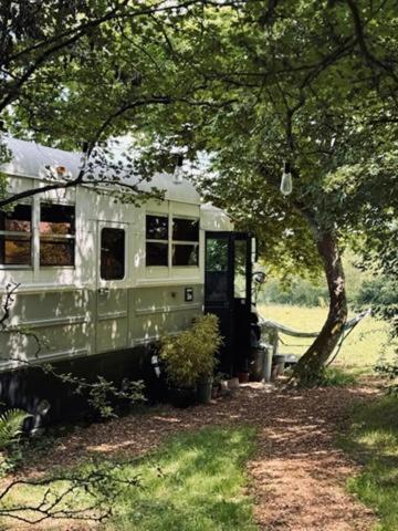 American School Bus Retreat With Hot Tub In Sussex Meadow Uckfield Esterno foto
